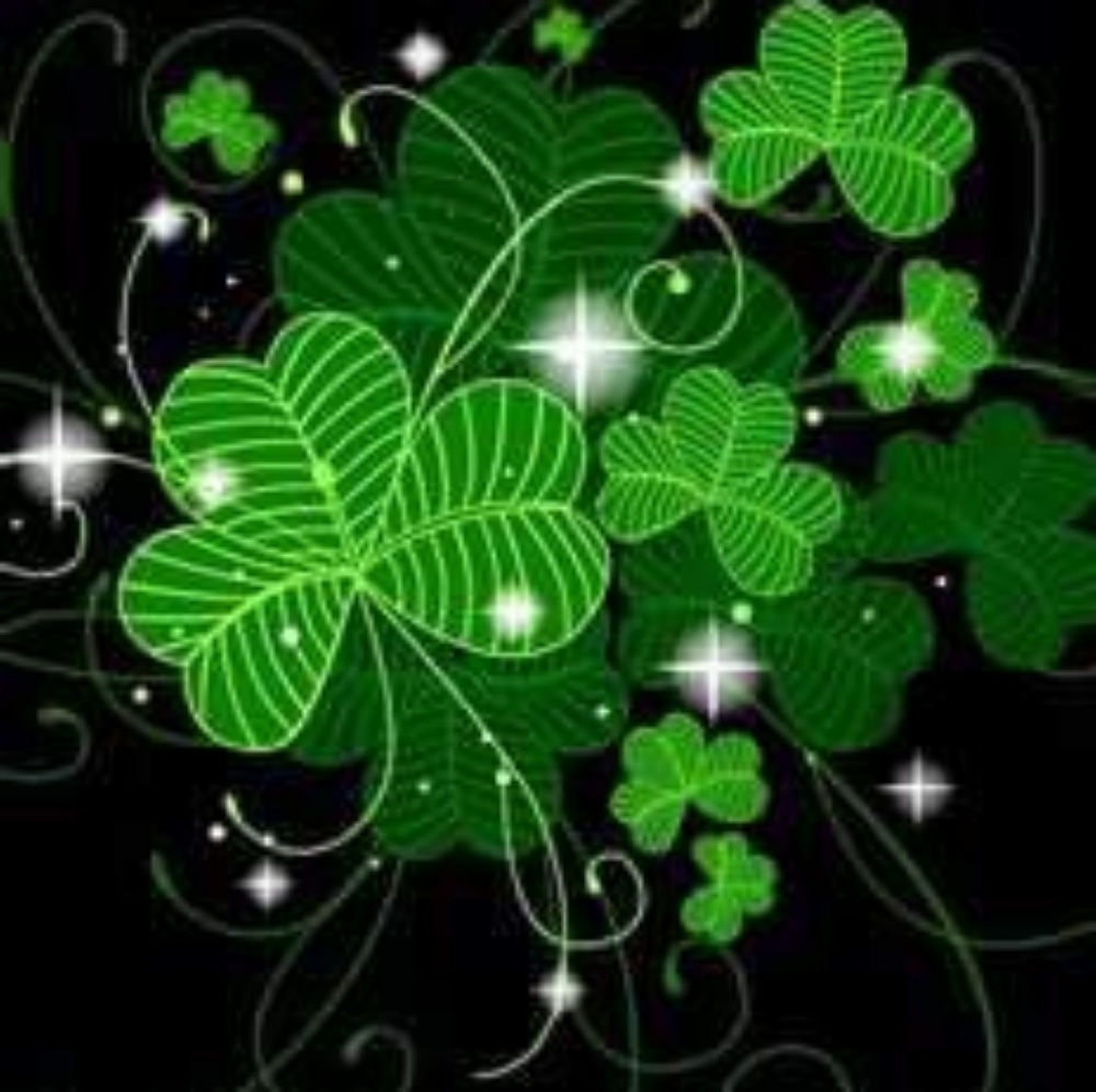 Meet your Posher, Jillann